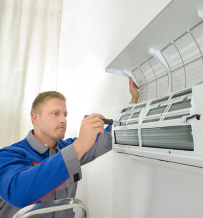 Técnicos Especializados 